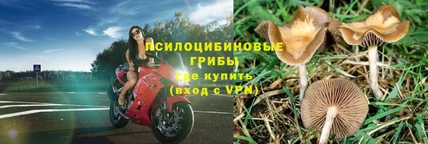 индика Россошь