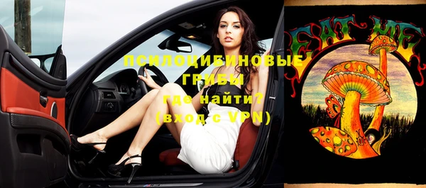 индика Россошь
